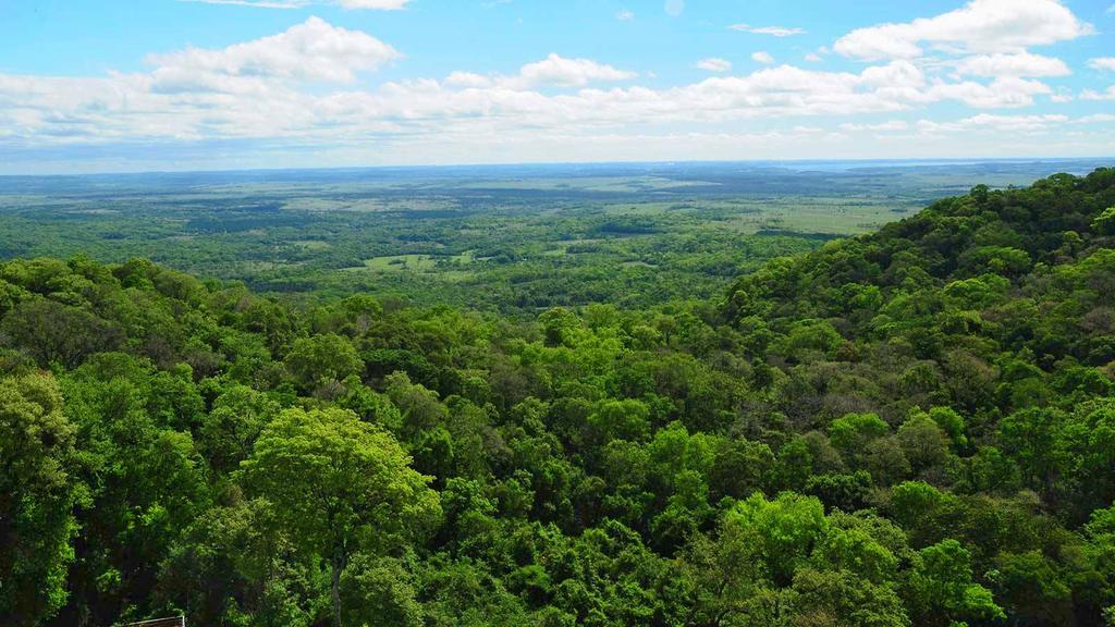 Posada Del Chaman Iguazu Пуерто Игуасу Екстериор снимка