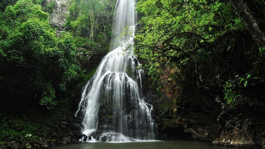 Posada Del Chaman Iguazu Пуерто Игуасу Екстериор снимка